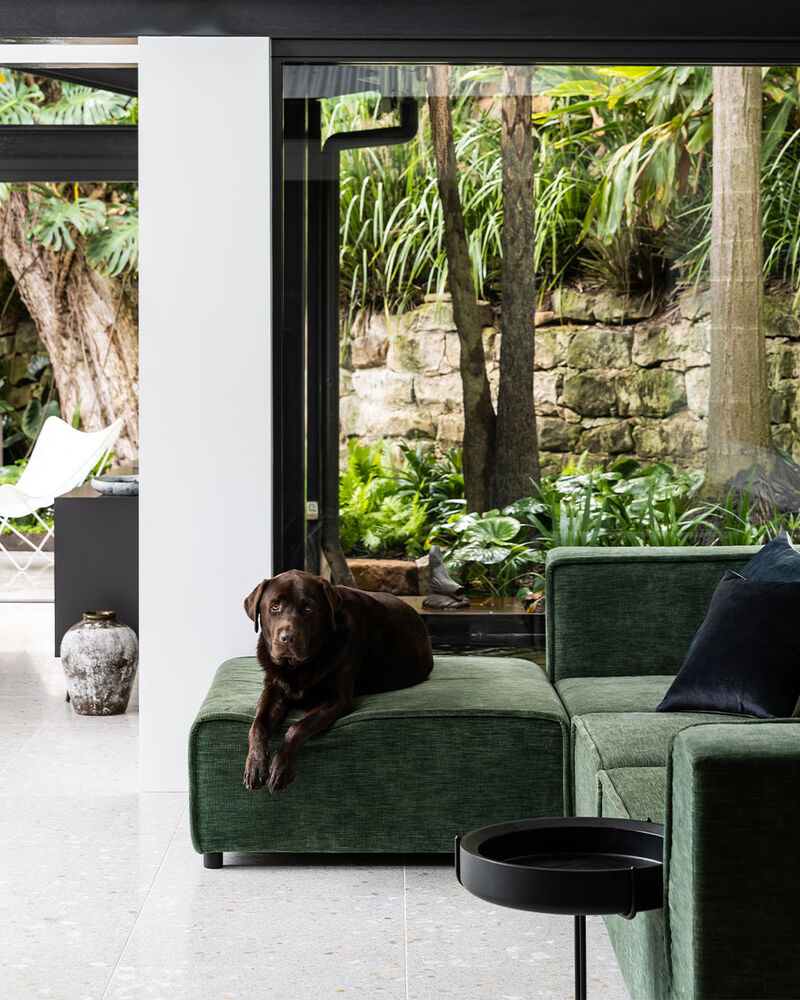 Interior living space — Darling Point home painted by Unique Painting Australia